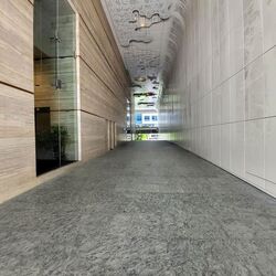 Sbf Center (D1), Office #575893811